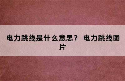 电力跳线是什么意思？ 电力跳线图片